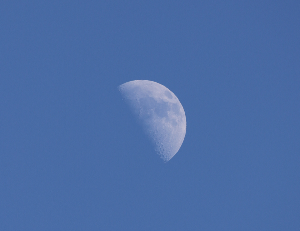 la lune, le 14/01/2019 0 15 H 31 (55881.JP