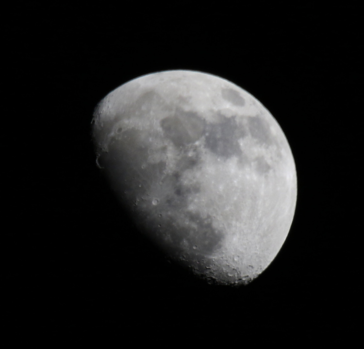 la lune, et Aldébaran, au soir du 16 et 17 /01/2019 (55972/999)