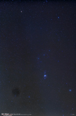ORION 03-01-19