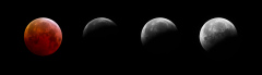 190121 - Eclipse de Lune - Composition - Pollux - STL11K