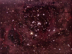 Nébuleuse de la Rosette + amas ouvert NGC2244