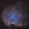 Nébuleuse de la tête de singe NGC 2175