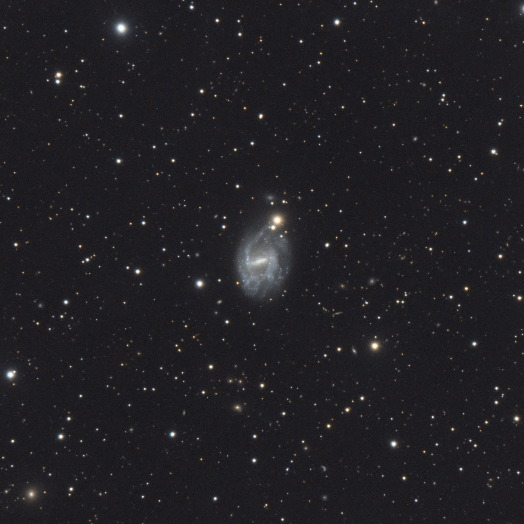 5c53ed5fdb97a_NGC7741.thumb.jpg.409d40fa06a55210ff3f835fd2eeed41.jpg