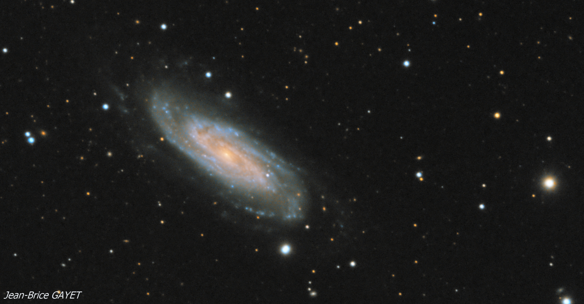 5c6a8f8a660c9_NGC3198crop.thumb.jpg.e1809c4376c71740a724ec9f4e8da377.jpg