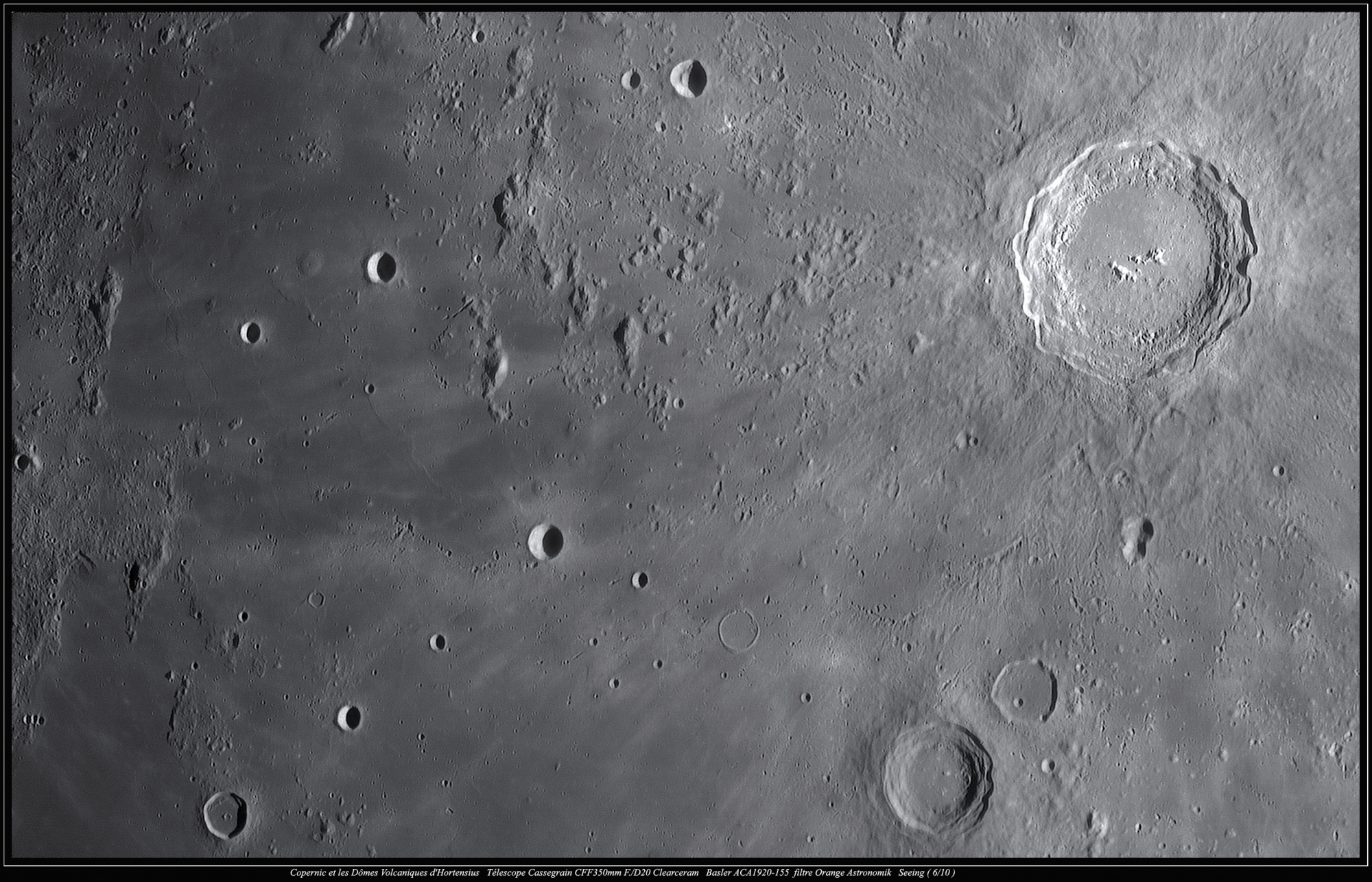 Copernic Hortensius 15022019AAA.jpg