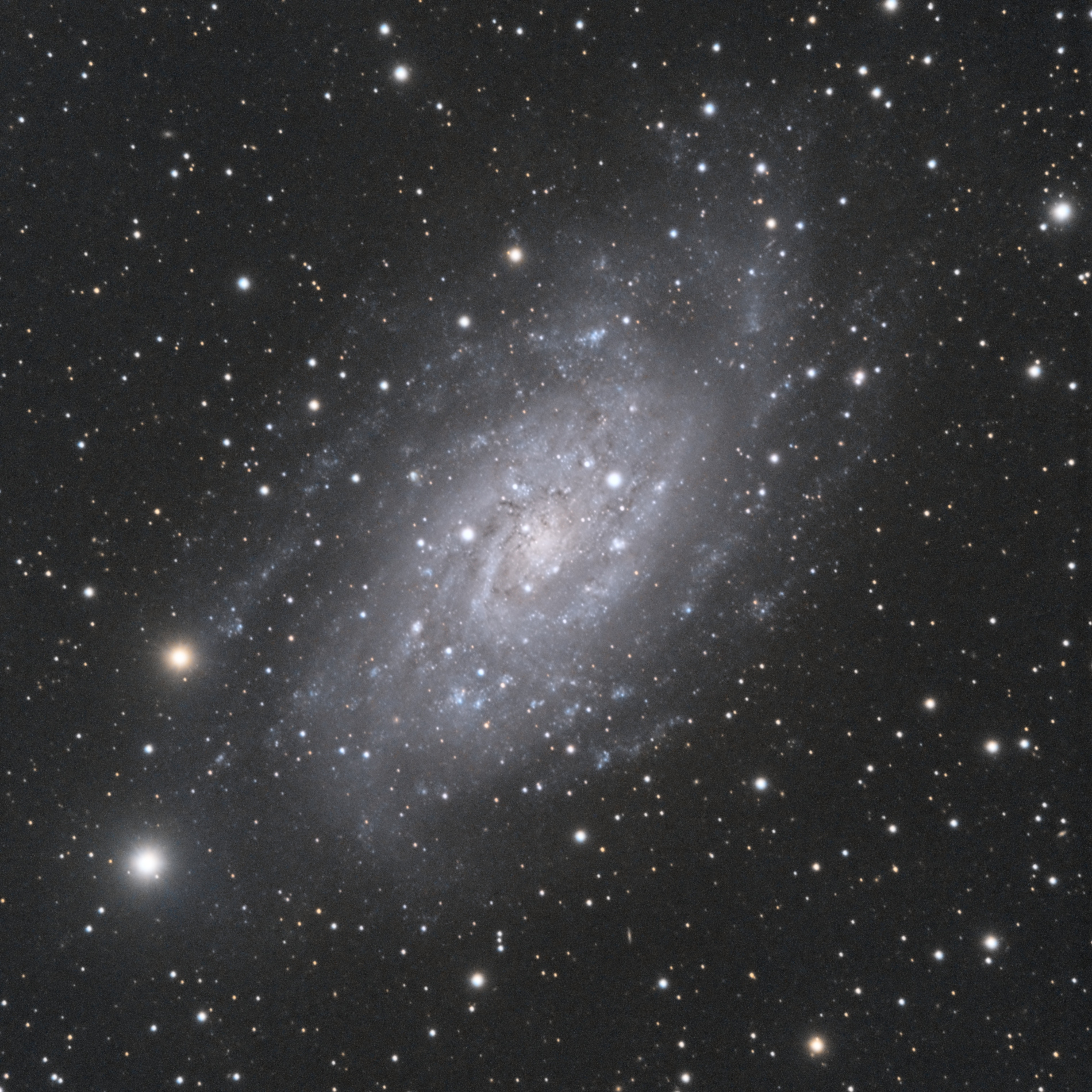 NGC_2403_V45L.jpg.9f580b889b0d5325b71a2ddc501b90e3.jpg