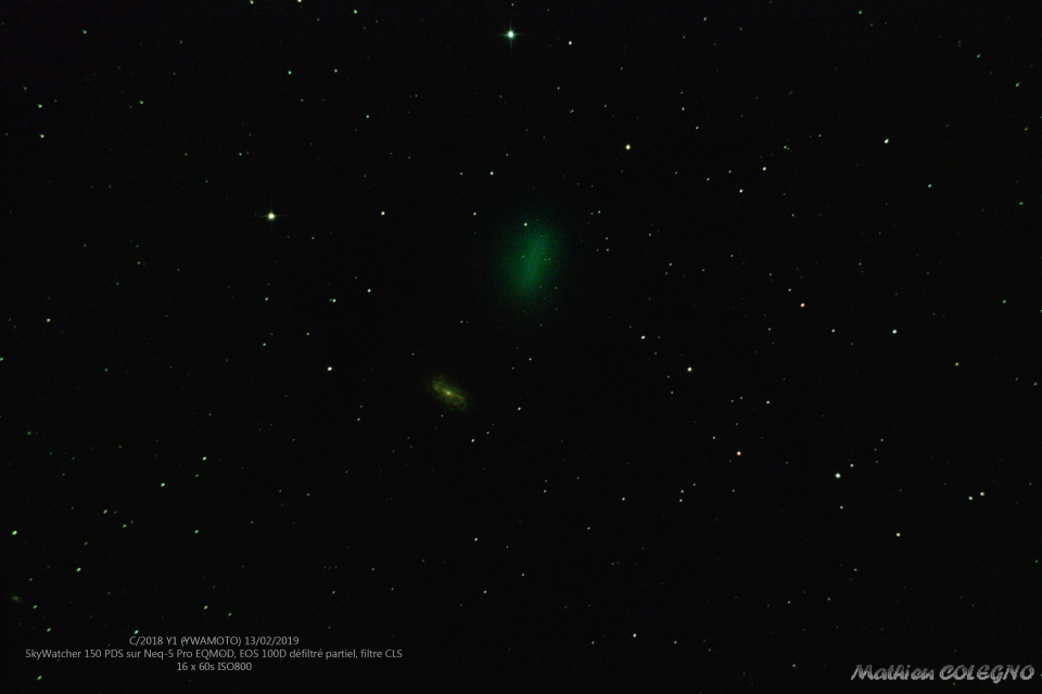 C/2018 Y1 Iwamoto et NGC2903