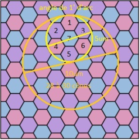 sur-echantillonage-oeil_hexagonal.jpg.ffe1515a2e90b6f3d564caa5535b1af9.jpg