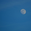 Lune  et  avion