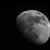 Moon_194821_lulu_66/388 ir cut.jpg