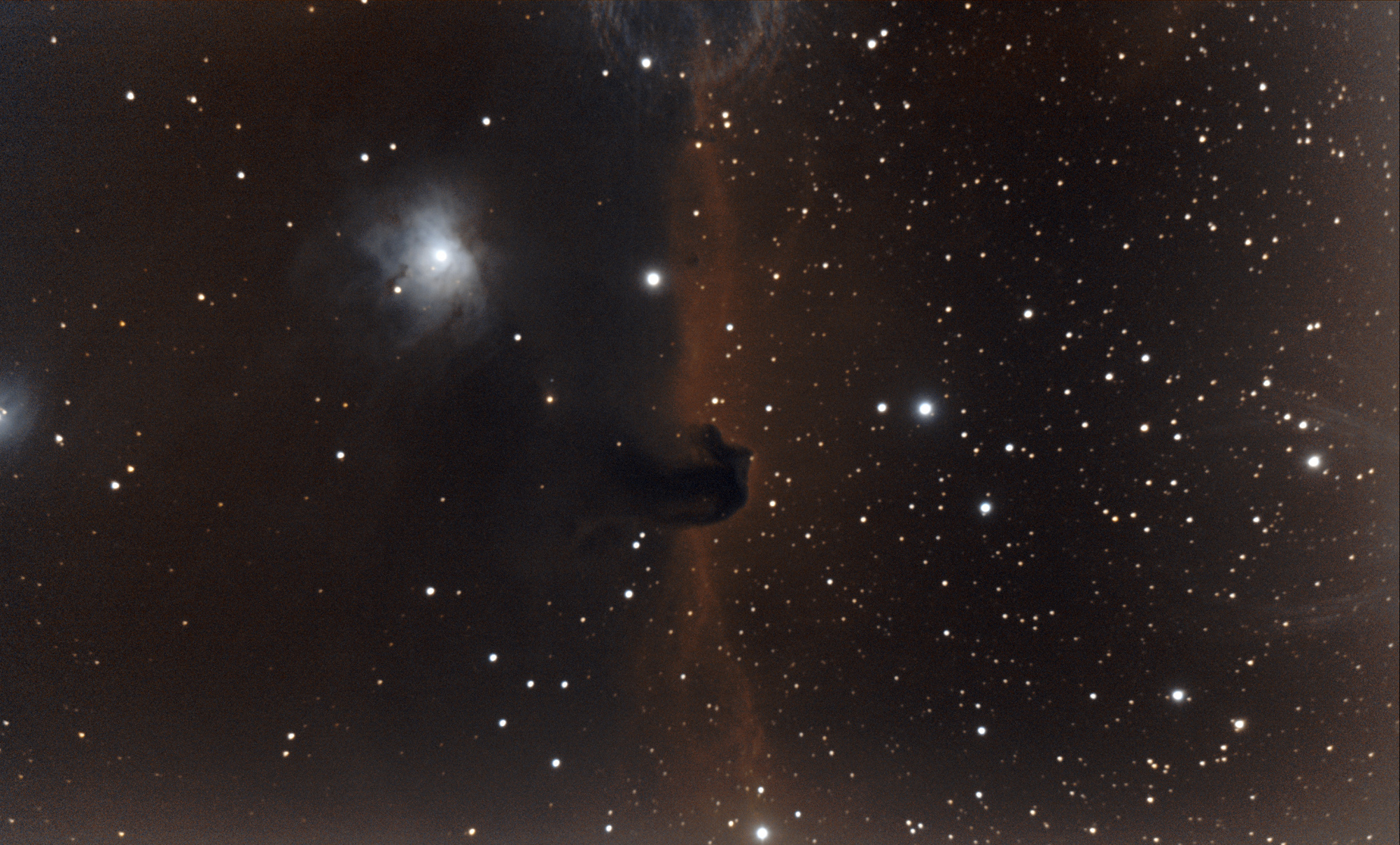IC 434 tete de cheval.jpg