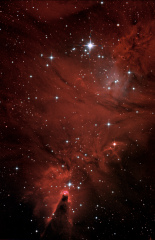 NGC2264_ nébuleuse du Cône + amas