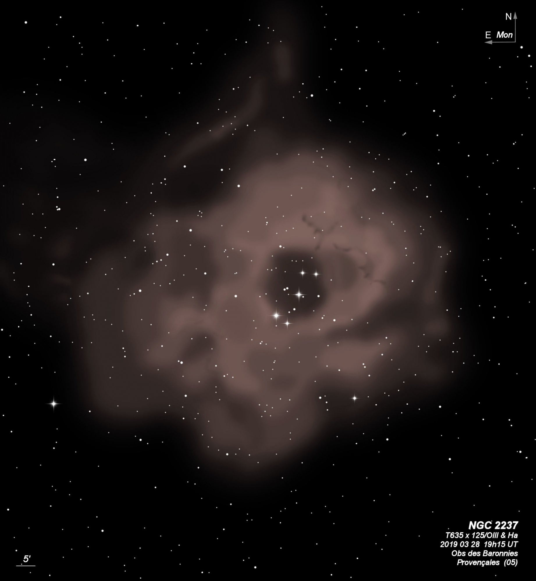 NGC 2237   T635 BL 2019 03.jpg