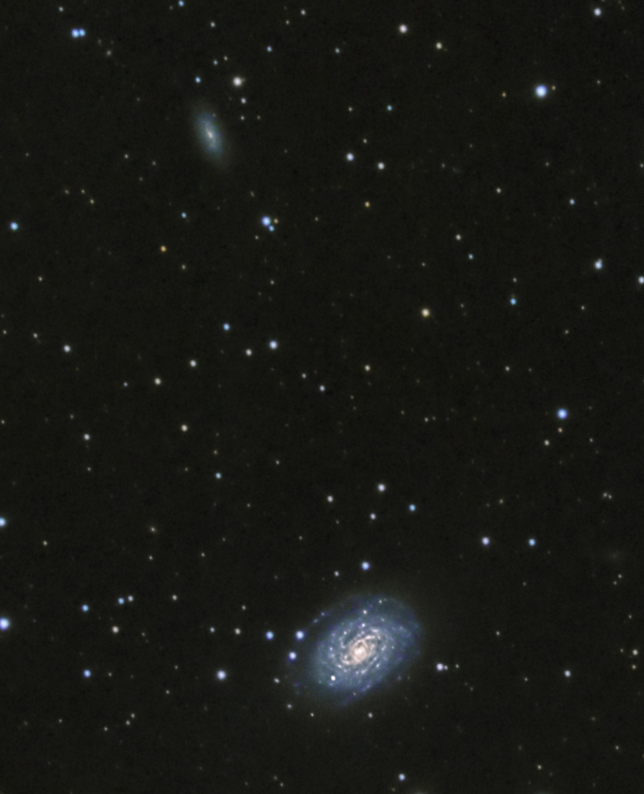 5caedef0b9966_NGC5962CropJean-BriceGAYET.jpg.4e3ff1878e51e12e506b6b8a6138c081.jpg