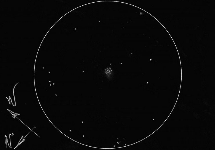5cbc133fe772e_NGC2298du02-04-2019.jpg.fa59941753d96fa78a67763b359ed976.jpg