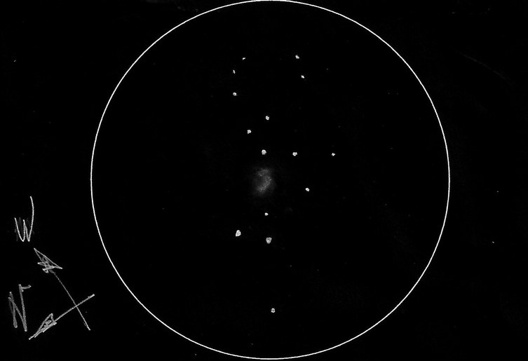 5cbc14a28d51b_NGC4038et4039du06-04-2019.jpg.4926c6b9e798787bbe529af339033fcb.jpg