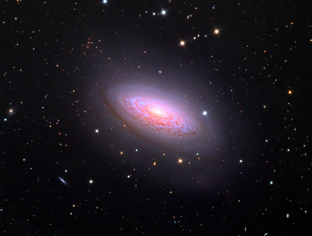 NGC3675_spiral_galaxy_in_Schulman_telescope.jpg.6575ff647d25a9ccff9aece489079e9c.jpg