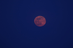 la lune le 19/04/2019 (63060/088/120)  pour son lever de pleine lune