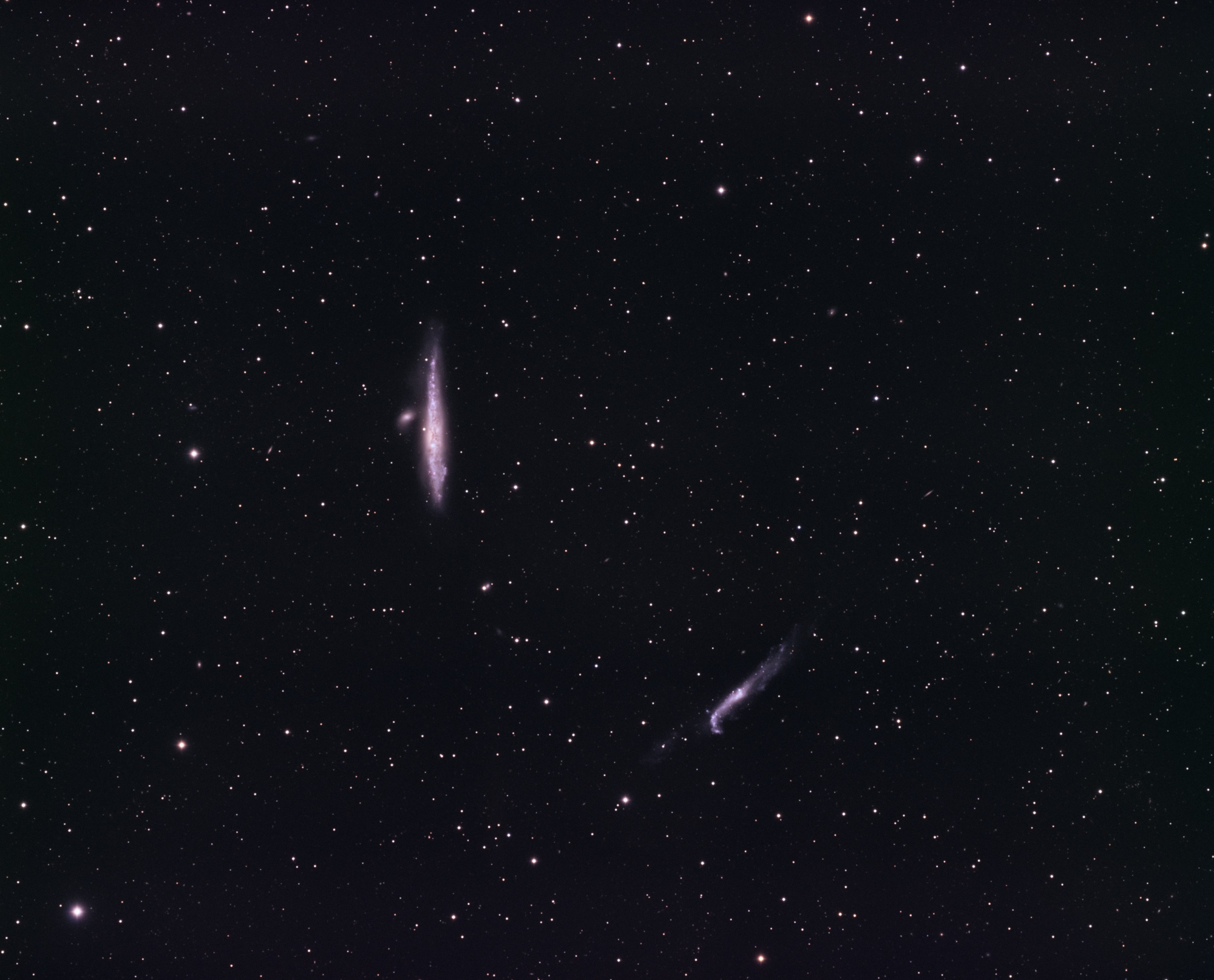 NGC4631-4656.thumb.jpg.3e5c8f075b4c02705e853a82b32ac3b3.jpg