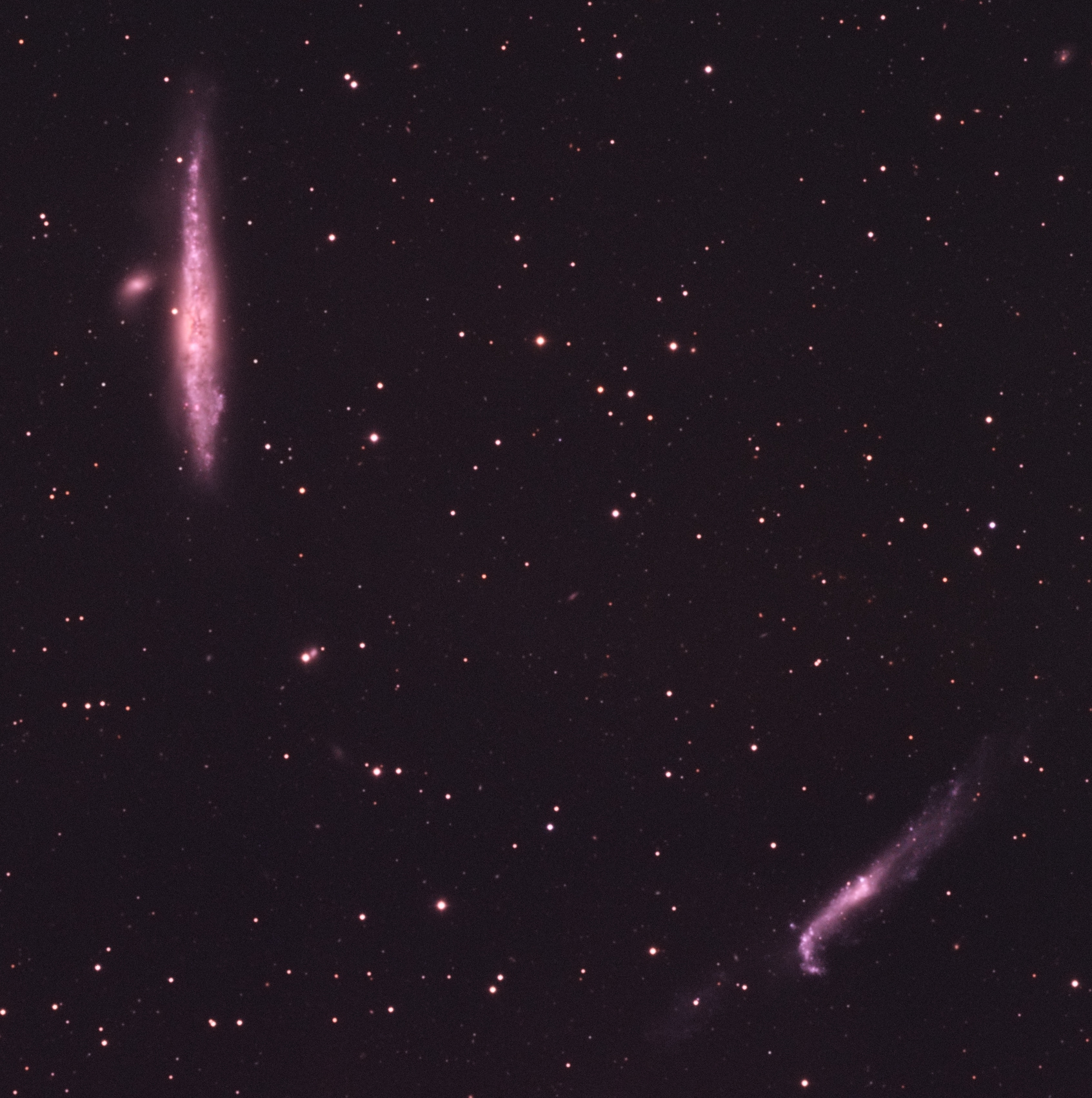 NGC4631-4656_crop.jpg.e189d29a82e01a7b36ccad90549aba4c.jpg
