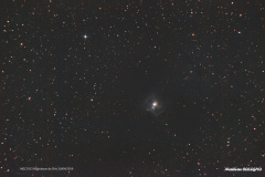 NGC7023 - Nébuleuse de l'Iris