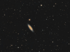 NGC 6503 La Galaxie Perdue