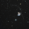 Les antennes - NGC 4038 & 4039