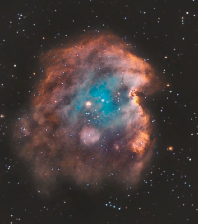 Nébuleuse de la TÊTE DE SINGE (NGC 2174)