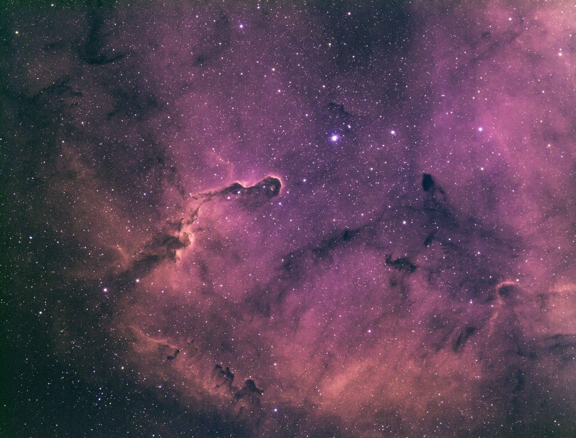 IC1396_fsq85-2.jpg