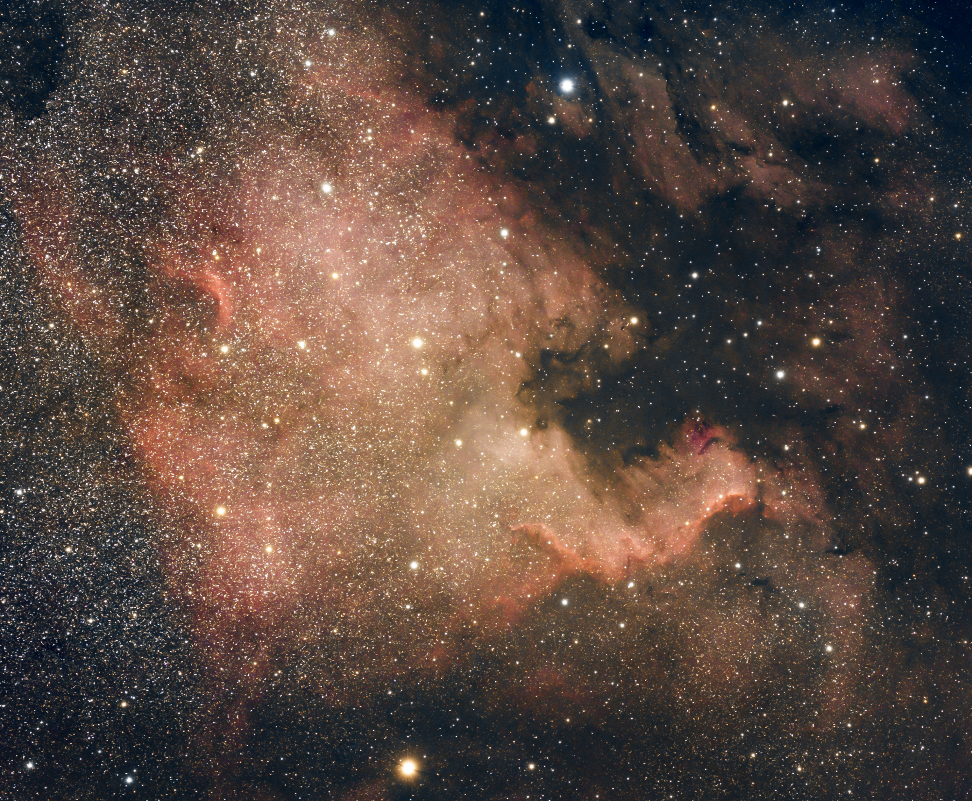 NGC7000_FSQ85_a7s_crop.thumb.jpg.2f19b4fd94f53084fc6bde53f2a7a7be.jpg