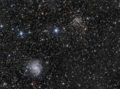 NGC-6946, la galaxie du feu d'artifice