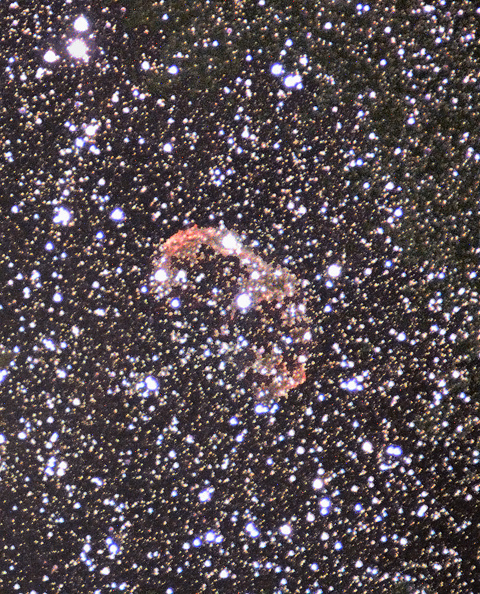 5d46f01edd4ee_NGC6888_stacked_crop_13_JPEG.jpg.601cf9c7b7adbe016f4c63592e3b77e3.jpg