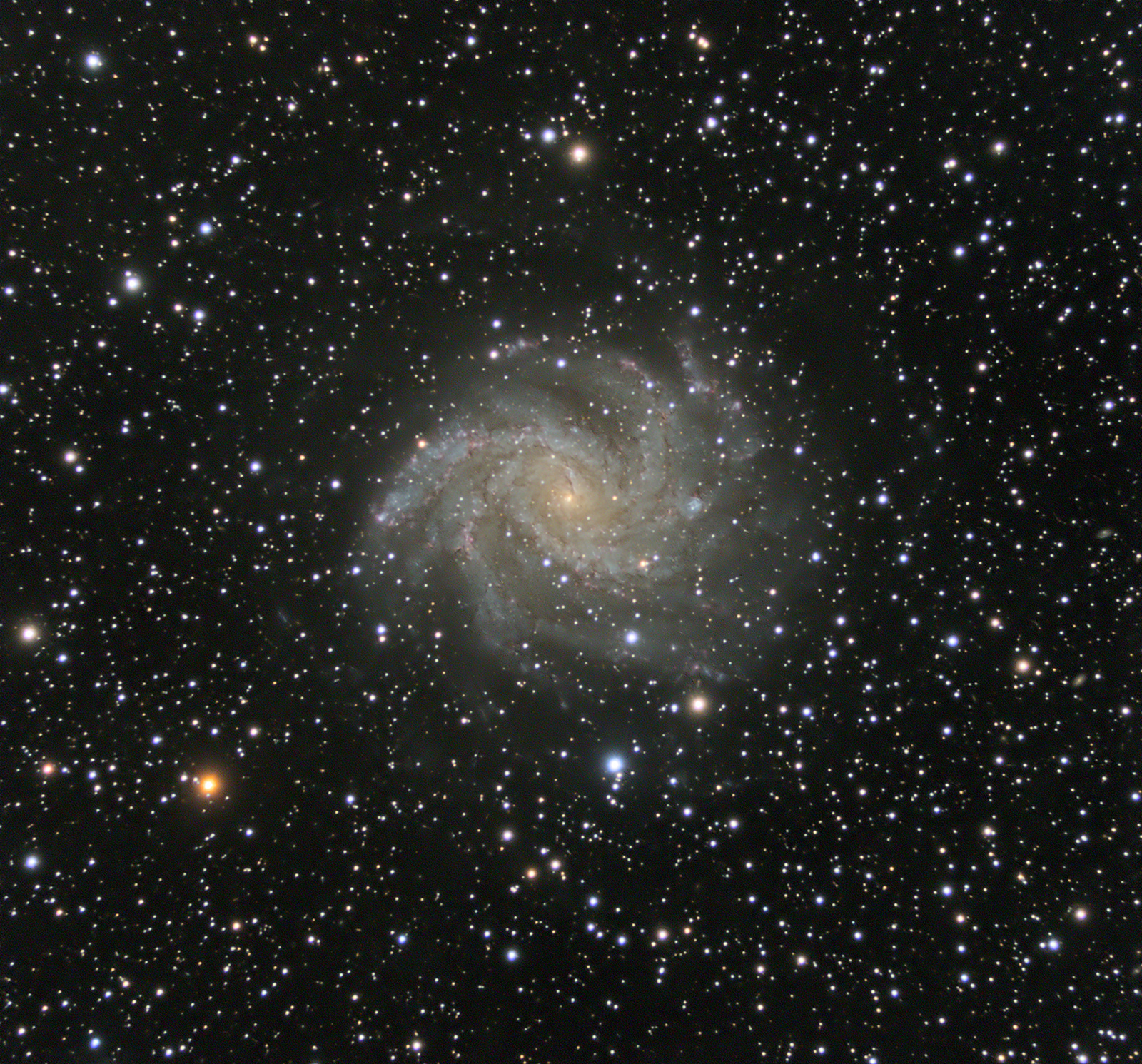 NGC6946.jpg.af884cdc27b622ef2c2977d7c624fdd5.jpg