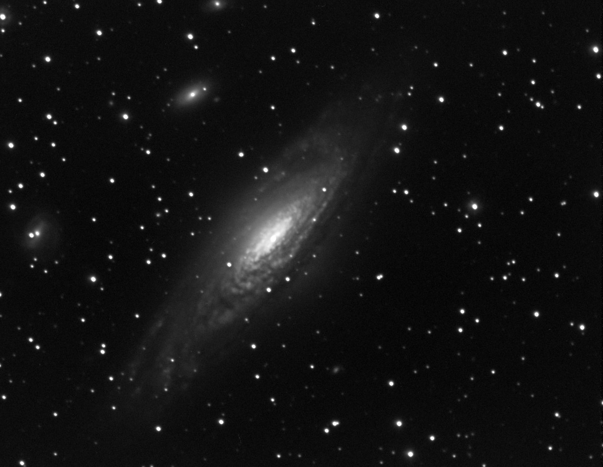 NGC7331-L-124minutes.jpg.e6cdde7a66db1e291ab9fa5852a13f62.jpg