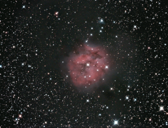IC 5146 -Nebuleuse du cocon