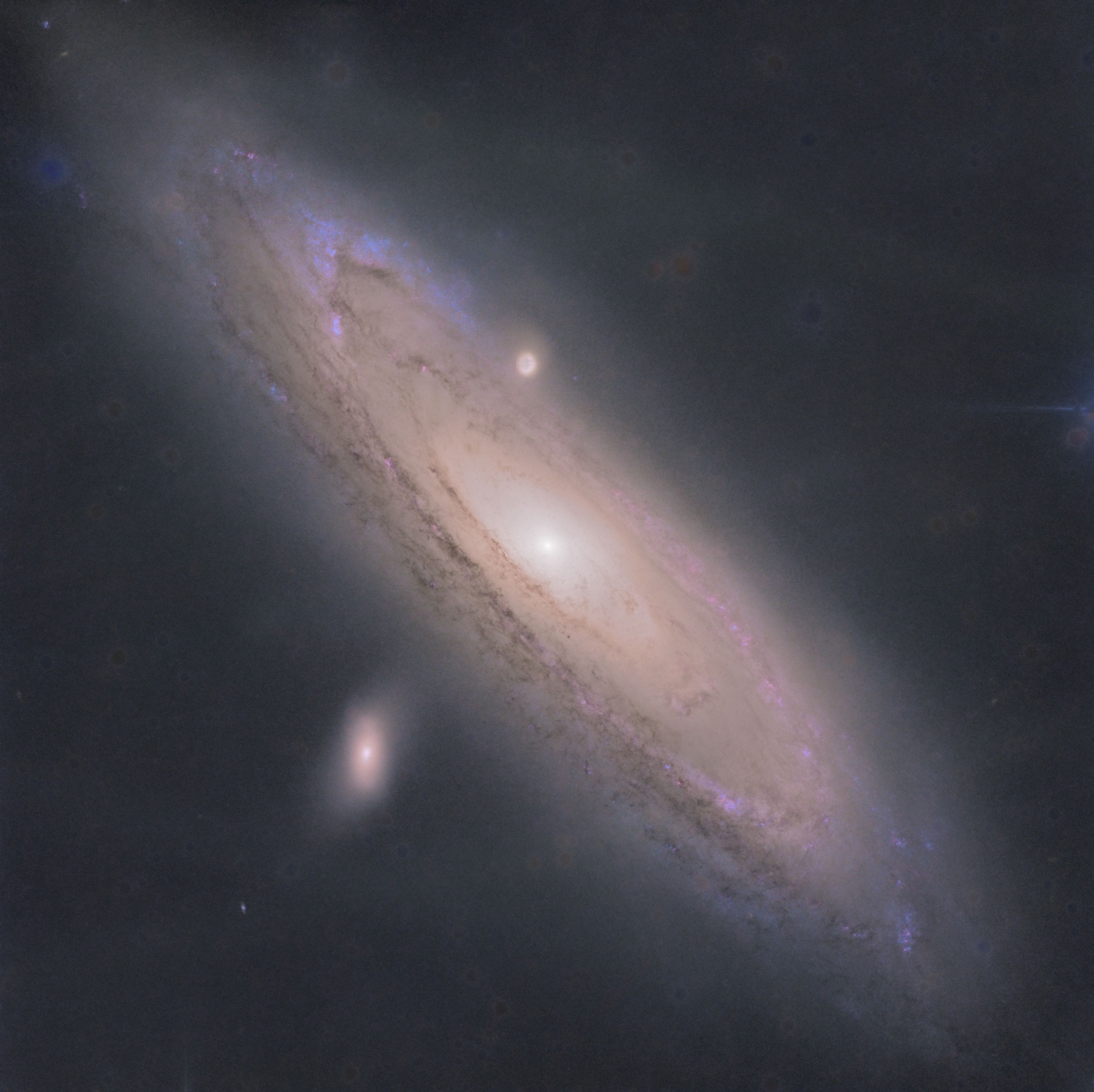 M31 sans etoiles.jpg