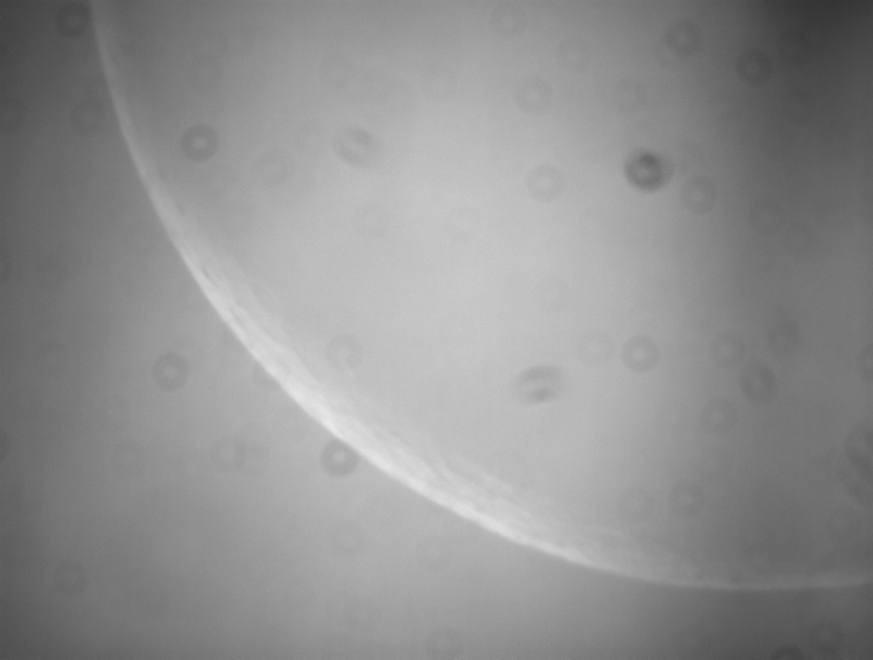 Lune.jpg.2388492257bbb6999752b77cc5f1374a.jpg