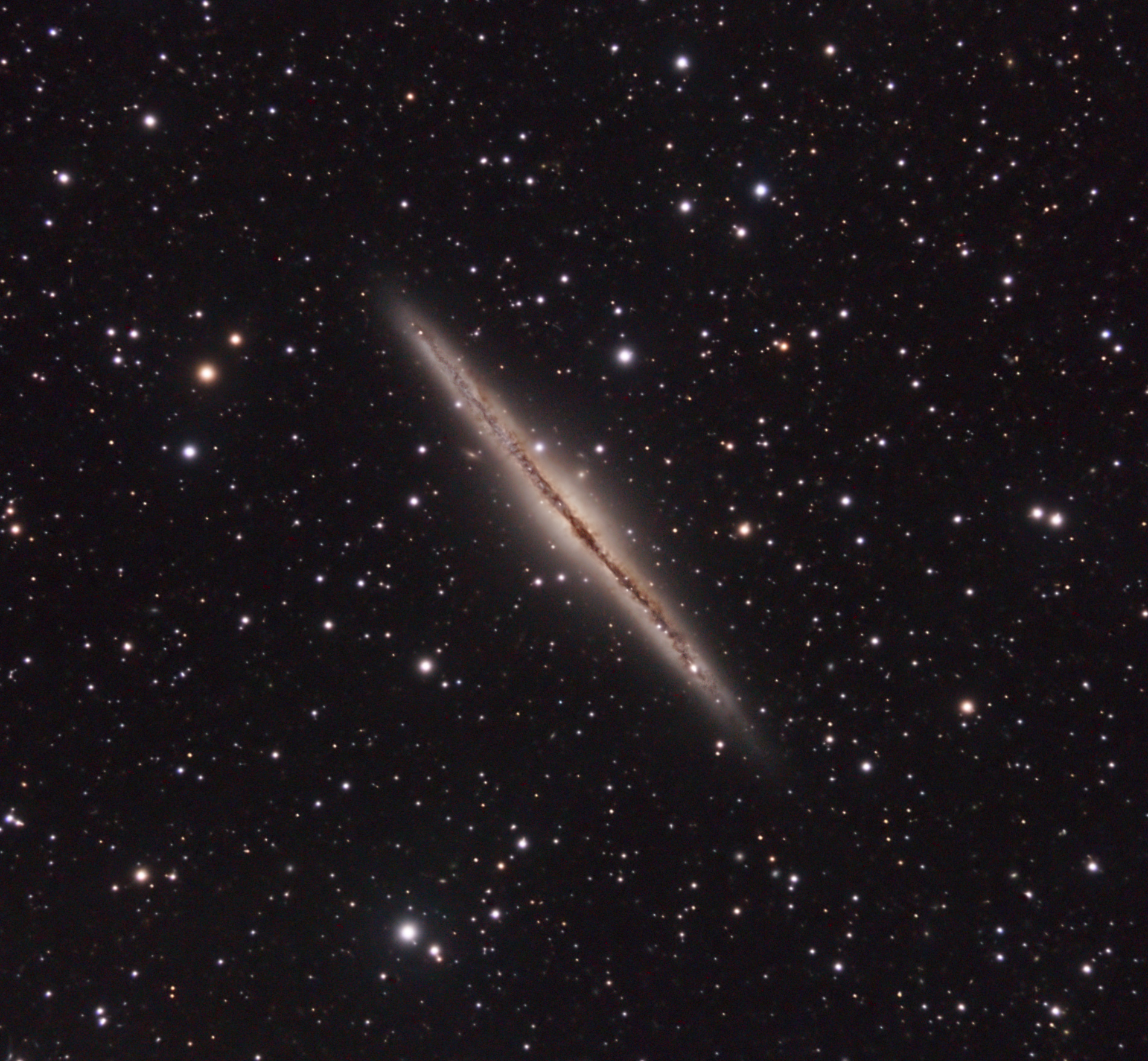 NGC891_C.jpg.b3c6cd098c915874628afb9833816e35.jpg