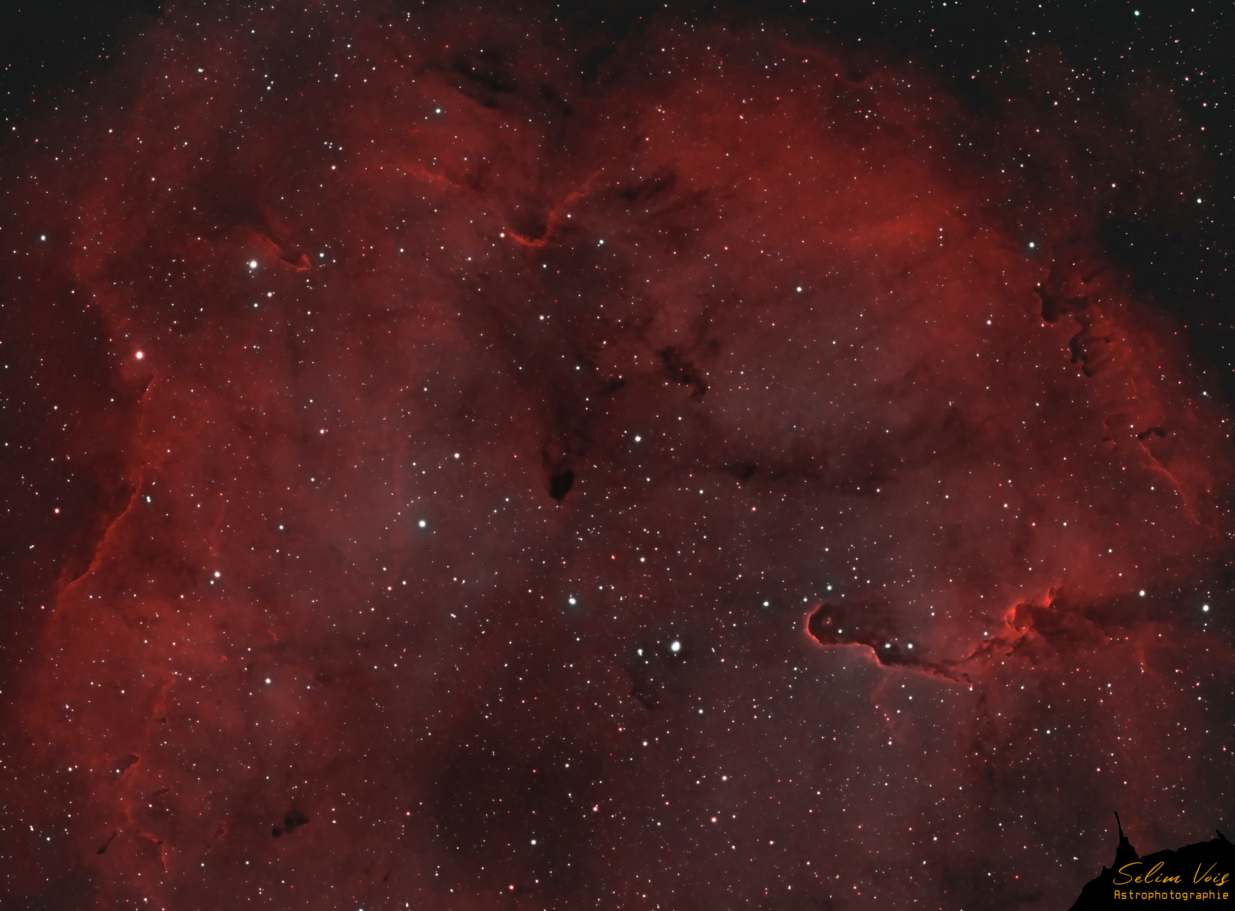 IC1396 HHOO