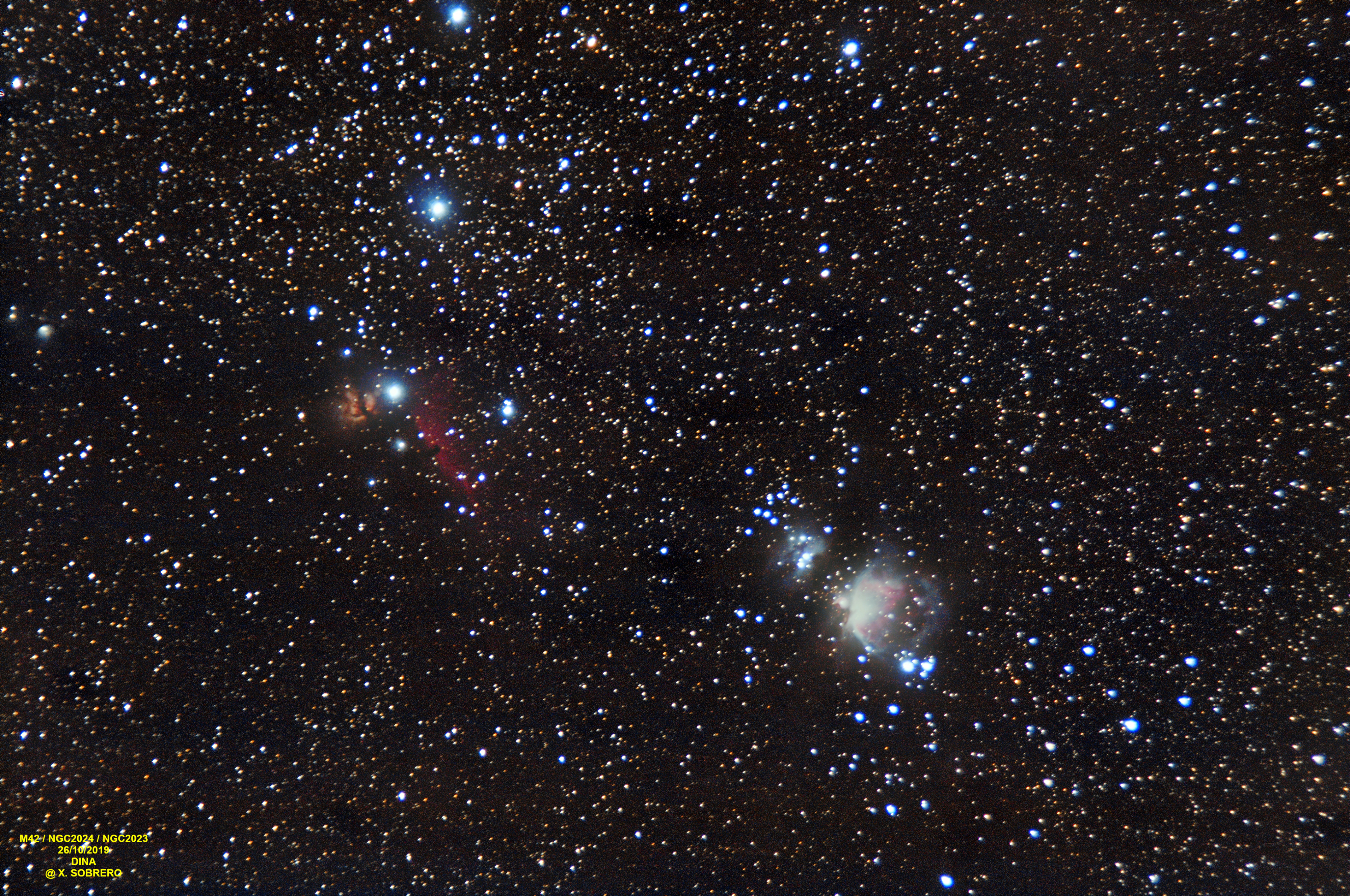 M42 / NGC2024 / Horsehead Nebulae