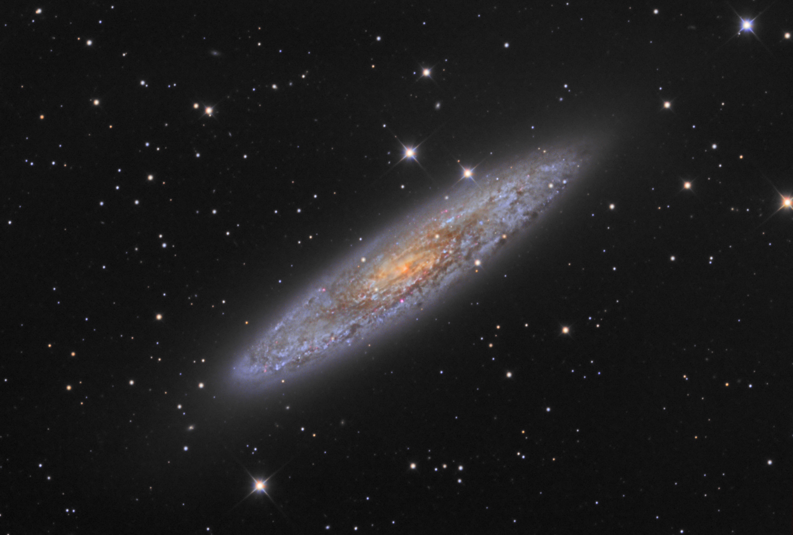 NGC253_T-Bexant_Newthom.jpg