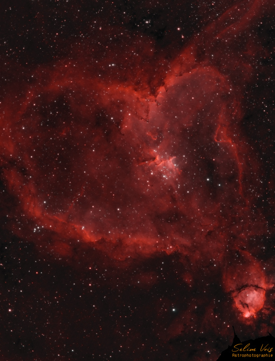 IC1805_HAHOO.jpg