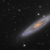 NGC253_T-Bexant_Newthom.jpg