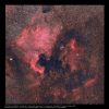 NGC7000 et IC 5067/68/70