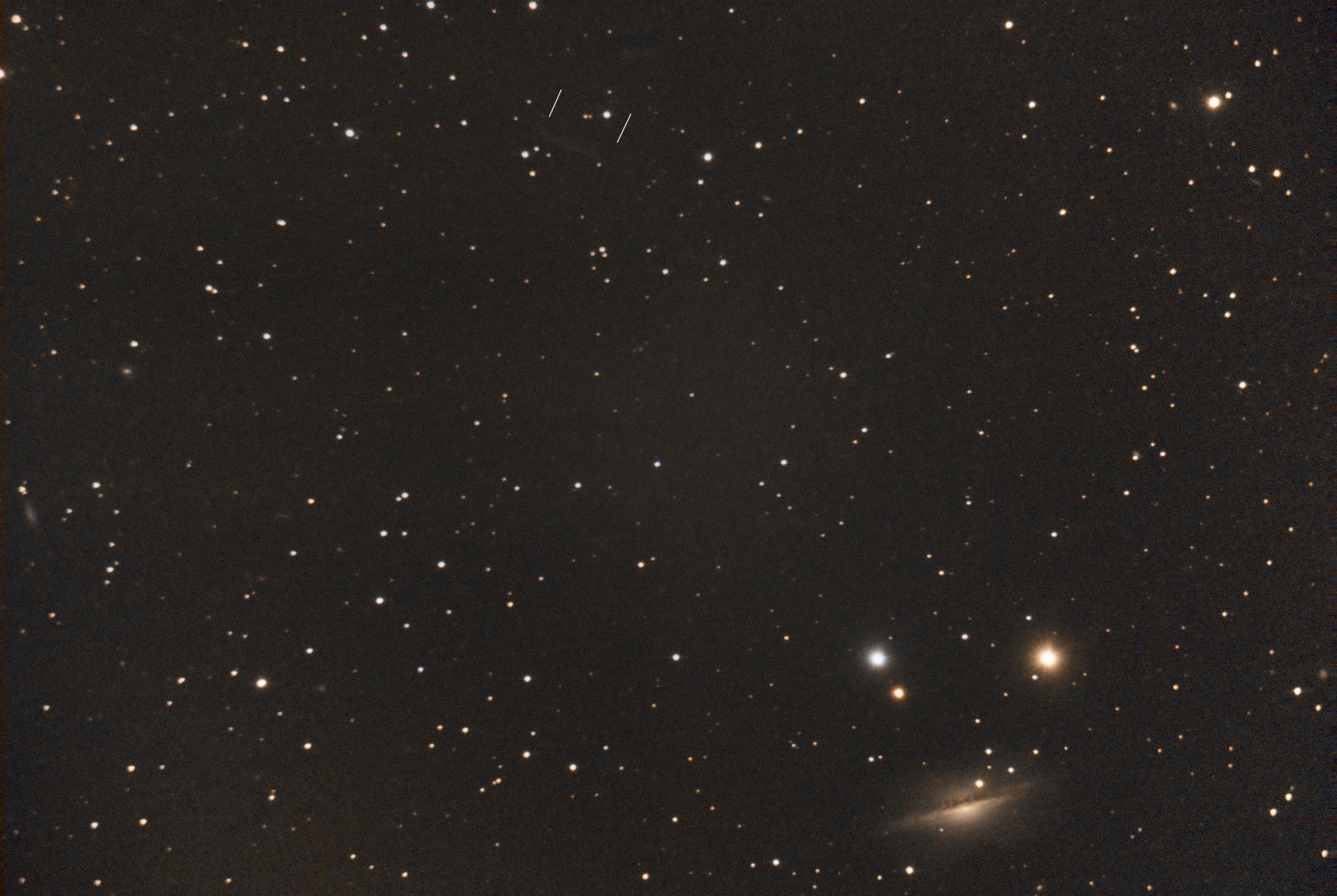 C2018DO4-NGC1055PS.thumb.jpg.cd4b98033a5f6f833089239fad79f889.jpg
