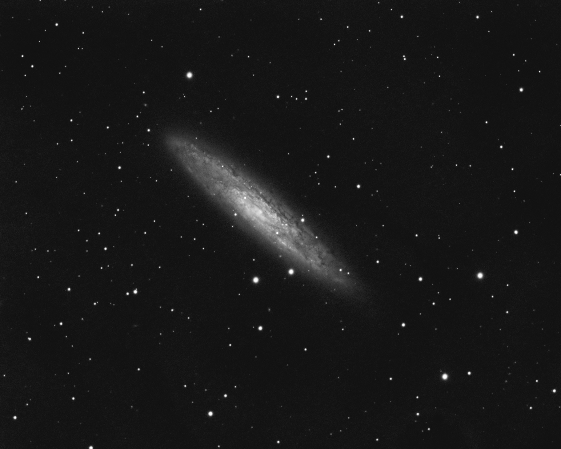 NGC253_73x2min_L.jpg.9f42e8169540c70cda87858476ac894d.jpg