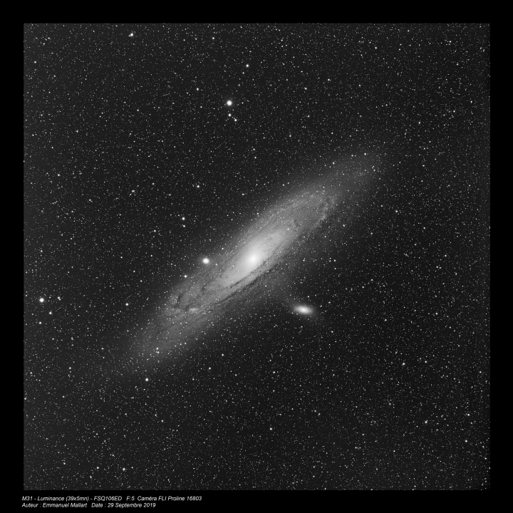 M31 - luminance seule