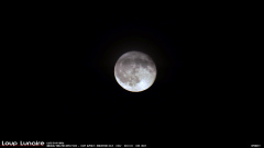 Lune reduite 13-11-19