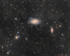 M81, M82 & IFN