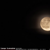 Lune reduite 2 13-11-19